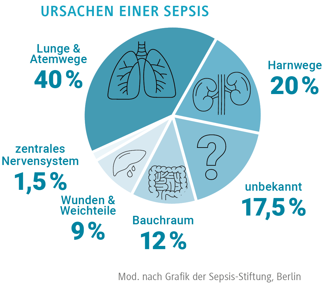 sepsis ursachen